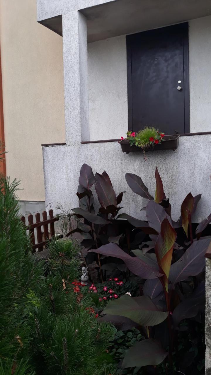 Sauliaus Apartamentai Panevėžys 외부 사진